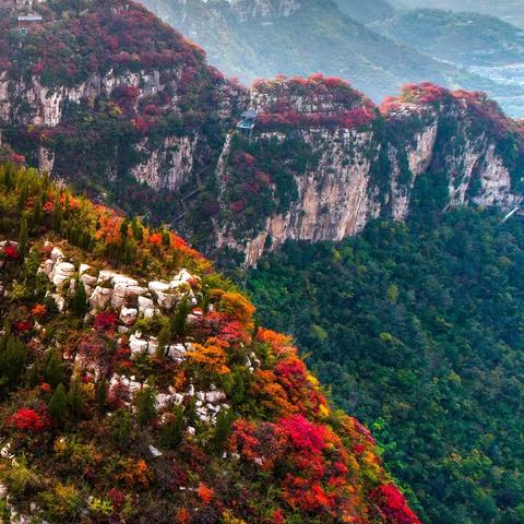 《心动小镇》快速致富攻略，揭秘新玩法！