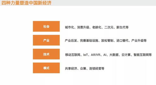 《子归》剧情深度解析：全流程攻略+独家技巧分享