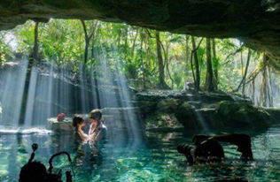 无雨森林秘境：探寻《原神》4.8版本神秘起源