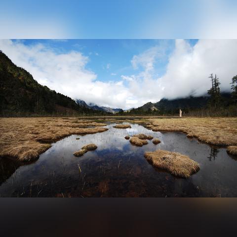 巨树环绕揭秘，心动小镇新秘境揭晓