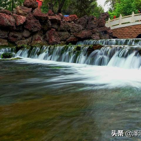 《心动小镇》花卉杂交技巧揭秘：高效杂交新攻略