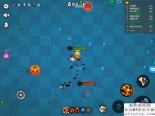 妮露圣遗物搭配攻略：解锁元素反应新境界