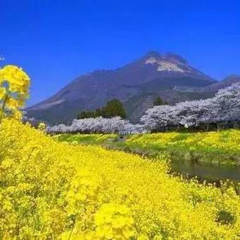 《心动小镇》昆虫捕捉攻略：全时间地点汇总及捕虫技巧分享