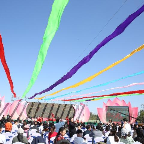 《心动小镇观鸟指南：鸟类出现时间地点解析及拍照技巧分享》