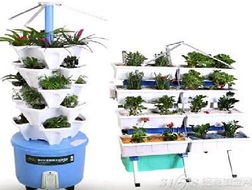 心动小镇园艺赚钱攻略：揭秘高效盈利新技巧