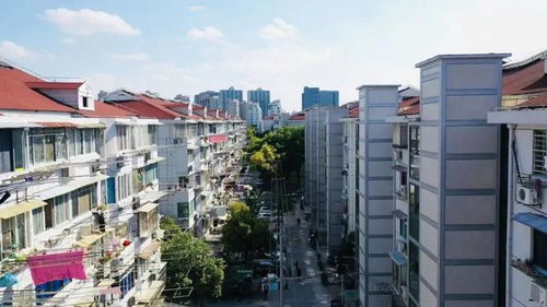 心动小镇探秘：解锁全新家园建设新篇章