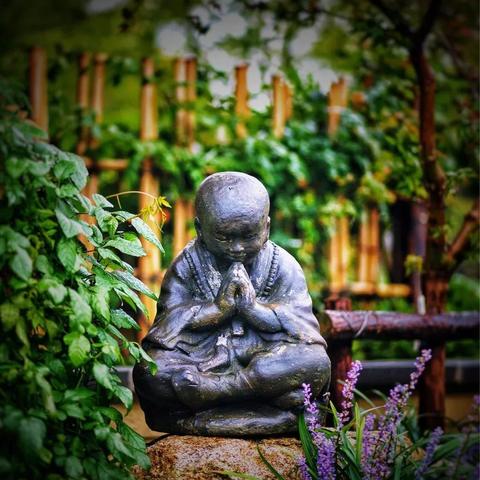 《心动小镇》攻略：新手必看，快速升级秘籍大公开