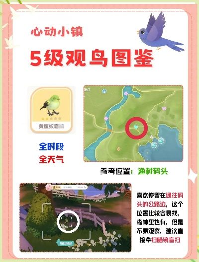 心动小镇观鸟秘籍：揭秘鸟类出没时间与位置攻略