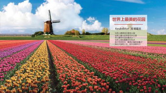 园艺新体验：心动小镇教你轻松种出美丽花朵