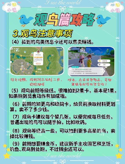 心动小镇观鸟技巧揭秘：轻松拍鸟新体验