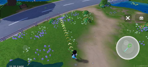 《心动小镇》捕虫攻略：轻松掌握虫虫捕捉新技巧