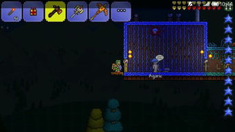 泰拉瑞亚NPC入住攻略：护士入住条件深度解析