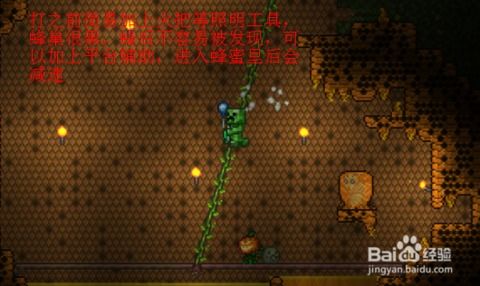 蜂王召唤攻略：揭秘泰拉瑞亚高效召唤技巧