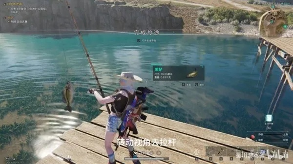 七日世界钓鱼攻略：高效技巧揭秘，新手必看！