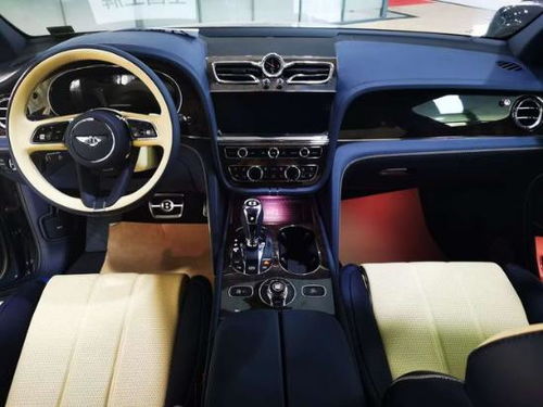 《七日世界》吉尔捏脸数据揭秘，深度解析新价值解析