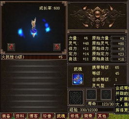 天龙八部武魂怎么升级？私服大佬亲授3个隐藏技巧，各版本差异避坑必看