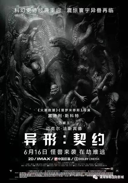 《无畏契约》特工揭秘：菲德旧友新篇章，揭秘特工背后的传奇故事