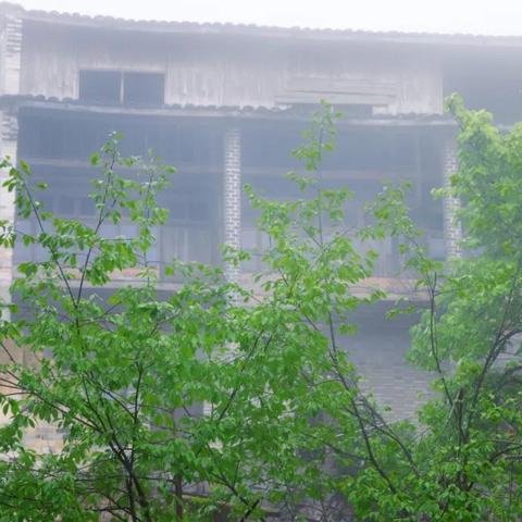 悬崖救援温情瞬间：狗儿感恩消防员深情吻谢