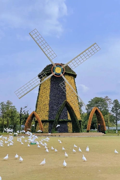 《绝区零》六分街卡格车位置详解，高效攻略助你一网打尽！