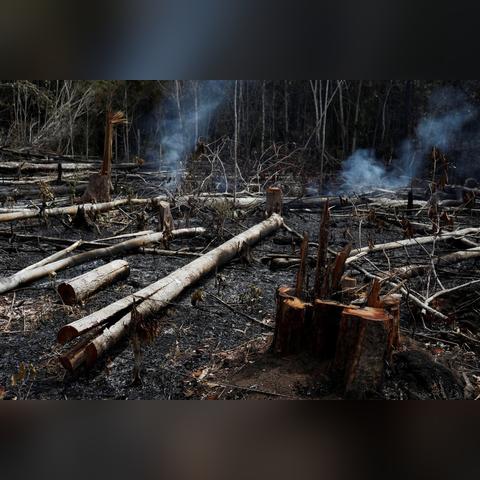 《绝区零》新手开荒攻略：高效配队技巧揭秘，轻松突破！