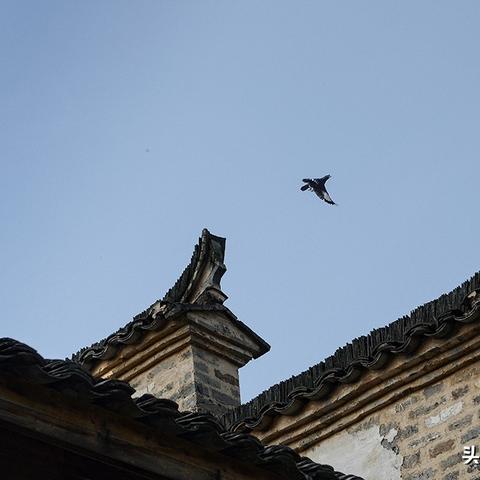 《第一后裔》探秘：开局角色攻略，解锁全新游戏体验