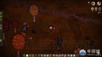 黄金树影DLC探秘：雾谷墓地地下迷宫导航攻略