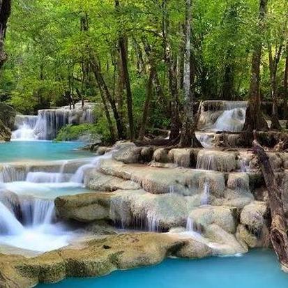 大象驯服秘籍：掌握帝国神话驯养新技巧