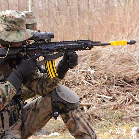 深度解析：三角洲行动核心玩法与战术革新