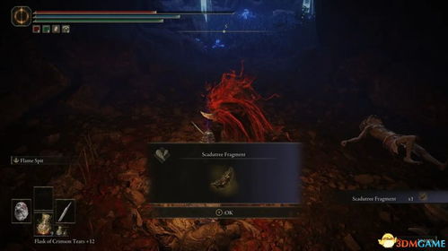 艾尔登法环DLC灵灰分布攻略：揭秘25个灵灰获取秘境