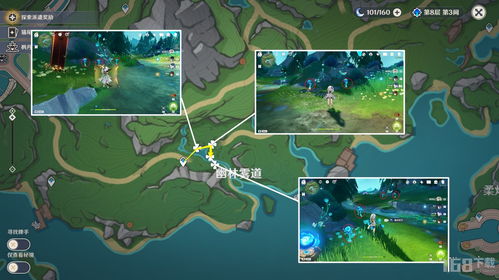 湖光铃兰攻略：高效收集路线大揭秘，轻松解锁新价值