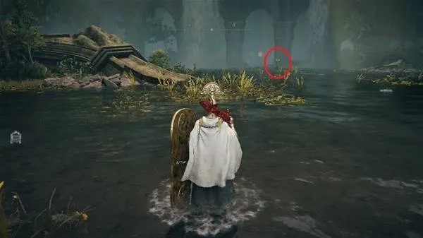 荆棘法师极限流配装解析：艾尔登法环黄金树之影DLC新攻略揭秘