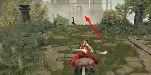 《艾尔登法环》神兽舞狮藏匿秘境，黄金树之影DLC探秘指南