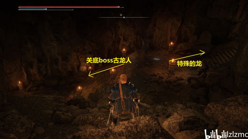 《艾尔登法环》DLC黄金树影隐藏墙位解析，幻影墙位置攻略大揭秘