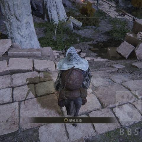 《艾尔登法环》DLC幼体泪滴寻宝秘籍，高效攻略解锁黄金书之影