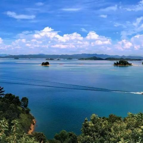 大坝精英速成：三角洲行动搜点攻略揭秘新技巧