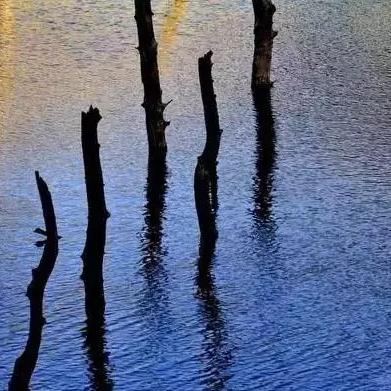 黄金树影DLC幽暗城教区泄洪攻略，解锁全新逃生技巧