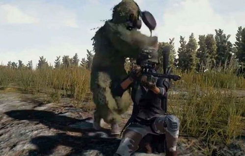 荒野求生女神冷美人独战80强，实力超群引赞叹