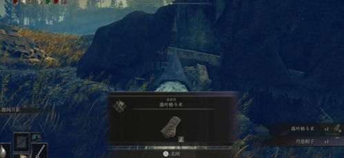 艾尔登法环攻略：高效击破孤牢骑士，掌握全新战斗技巧