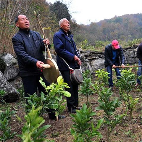 《仙境传说起源》新手开荒职业攻略，打造最强搭配秘籍！