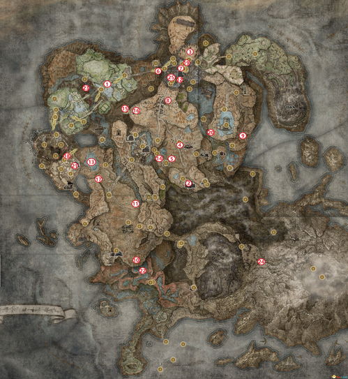 《艾尔登法环DLC》灵灰庇护获取攻略，揭秘神秘庇护之力用途解析