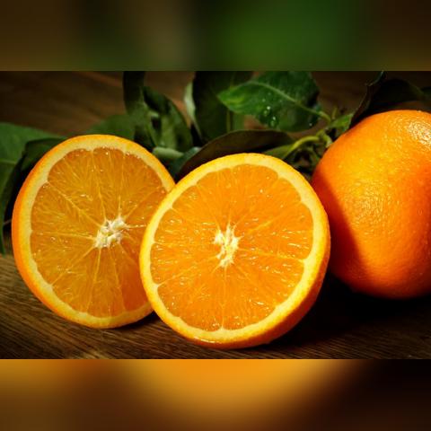 植物大战僵尸杂交版抽奖攻略：豪华版盒子高效打法揭秘秘籍