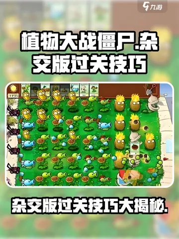 植物杂交战攻略：解锁2.1商店副本全关秘籍，高效通关技巧大公开