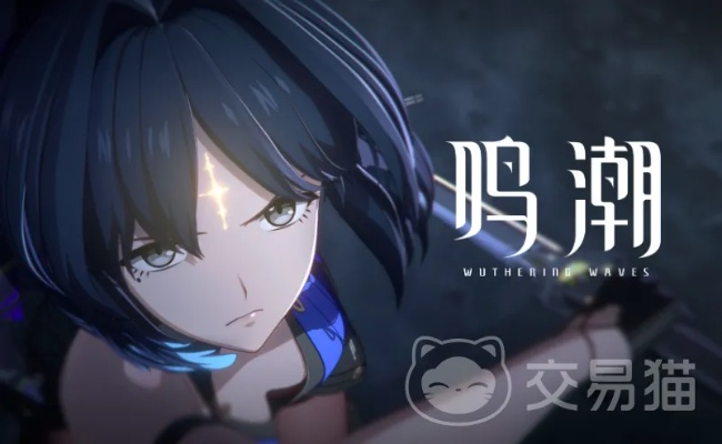 《鸣潮》怨鸟泽全攻略：高效收集秘籍大揭秘