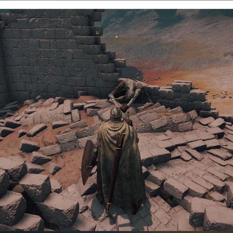 《艾尔登法环》开局攻略：高效击破接肢贵族，掌握战斗新技巧