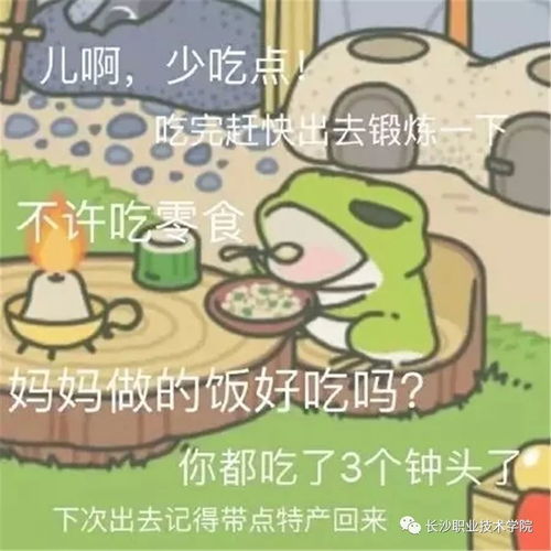 《鸣潮》蛙语秘境探秘：解锁动物之声翻译攻略新境界