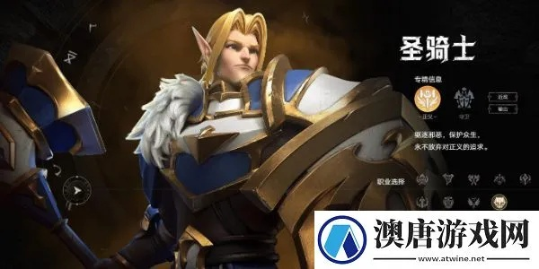 《塔瑞斯圣骑秘技全解析：高效输出攻略大揭秘》