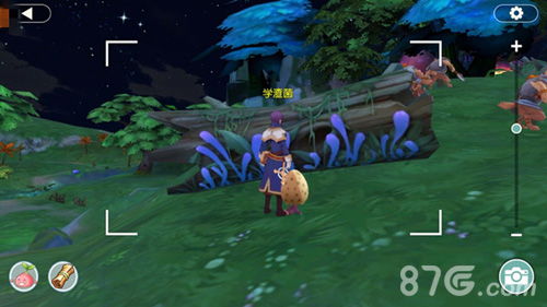 迷雾森林宝箱藏宝图，塔瑞斯世界探险新秘境