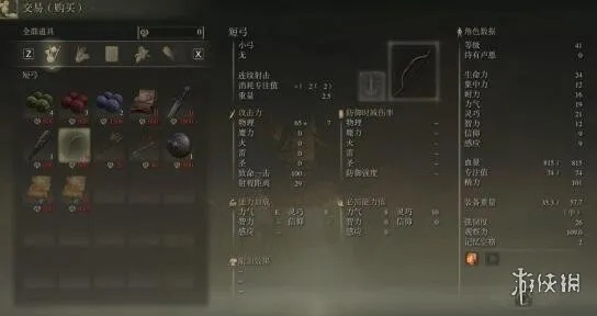 艾尔登法环双十字镐开荒必备：高效获取攻略解析