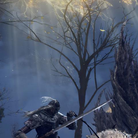 女武神近战制胜攻略：深度解析《艾尔登法环》新战术