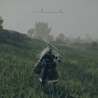 《艾尔登法环》法师开荒攻略：武器流派解析与全新配装技巧揭秘